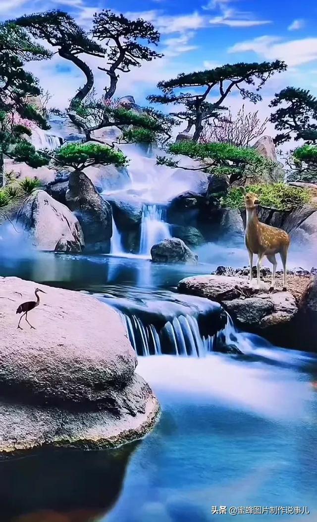 救援男孩毕业生